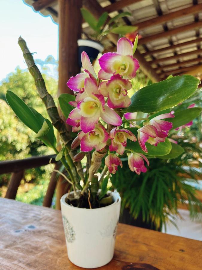 Pousada Aconchego Caraíva 外观 照片